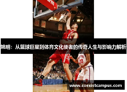 姚明：从篮球巨星到体育文化使者的传奇人生与影响力解析