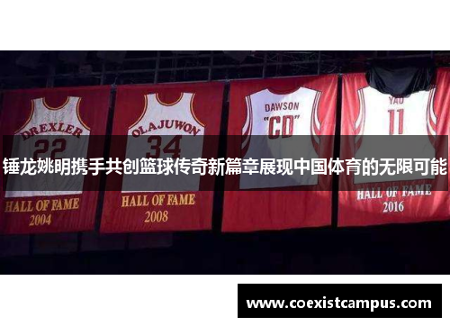 锤龙姚明携手共创篮球传奇新篇章展现中国体育的无限可能
