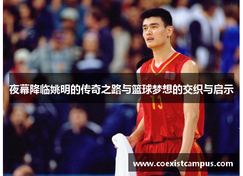 夜幕降临姚明的传奇之路与篮球梦想的交织与启示