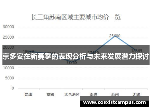 京多安在新赛季的表现分析与未来发展潜力探讨